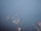 Sandy_Warez_B-Day_Hangar1_misspetduo_073.jpg