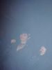 Sandy_Warez_B-Day_Hangar1_misspetduo_084.jpg