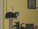 Silvester2004-2005_at_Hot-In_by_schwarzz_026.jpg