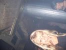 Dateiname=Sonic-Warrior_B-Day_at_U-Bar_FFM_04-06-05_by_Sana87_287.jpg
Dateigröße=27KB
Abmessungen: 640x480
hinzugefügt am: 13. Juni 2005 Sonic-Warrior_B-Day_at_U-Bar_FFM_04-06-05_by_Sana87_287.jpg
